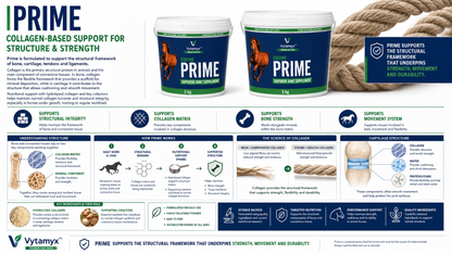 Vytamyx Equine Prime – the science infographic