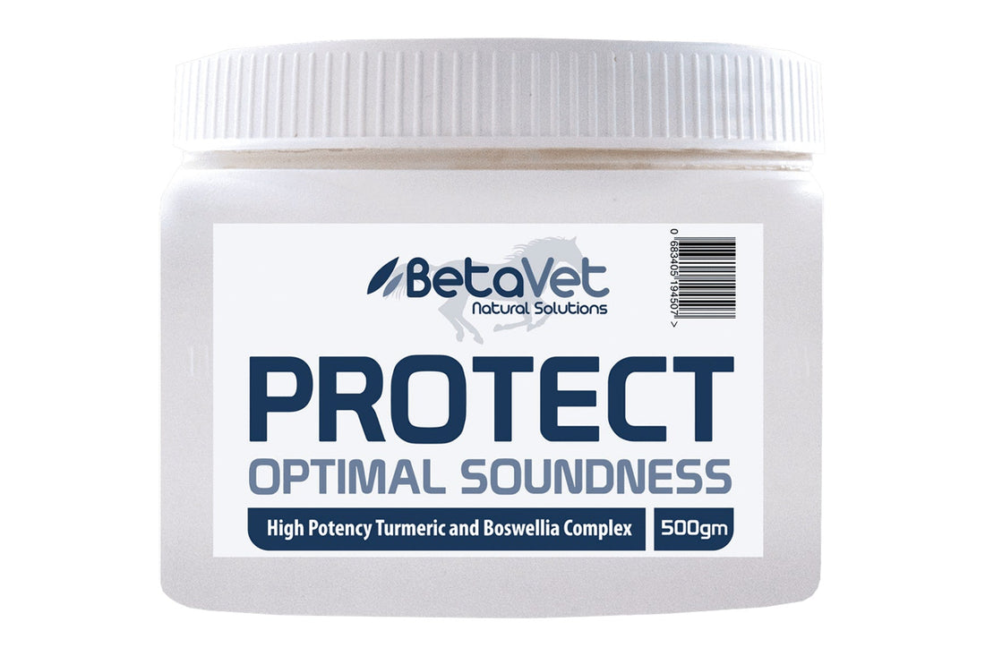 PROTECT
