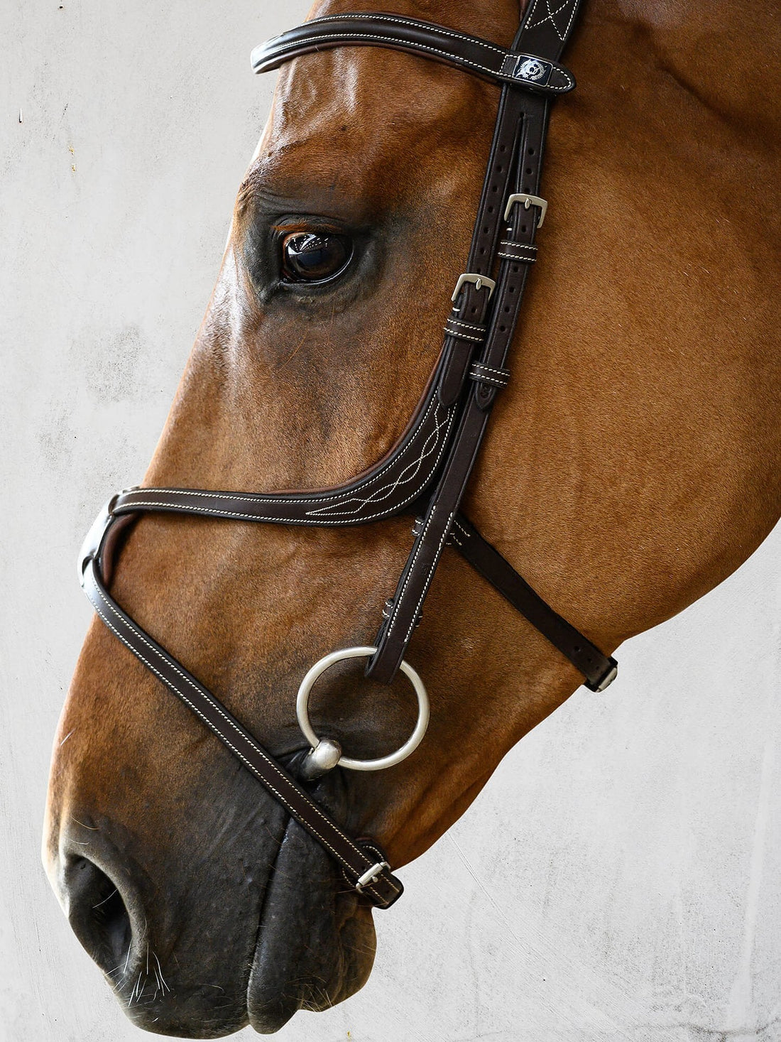 PS of Sweden Bridle Athens - 2