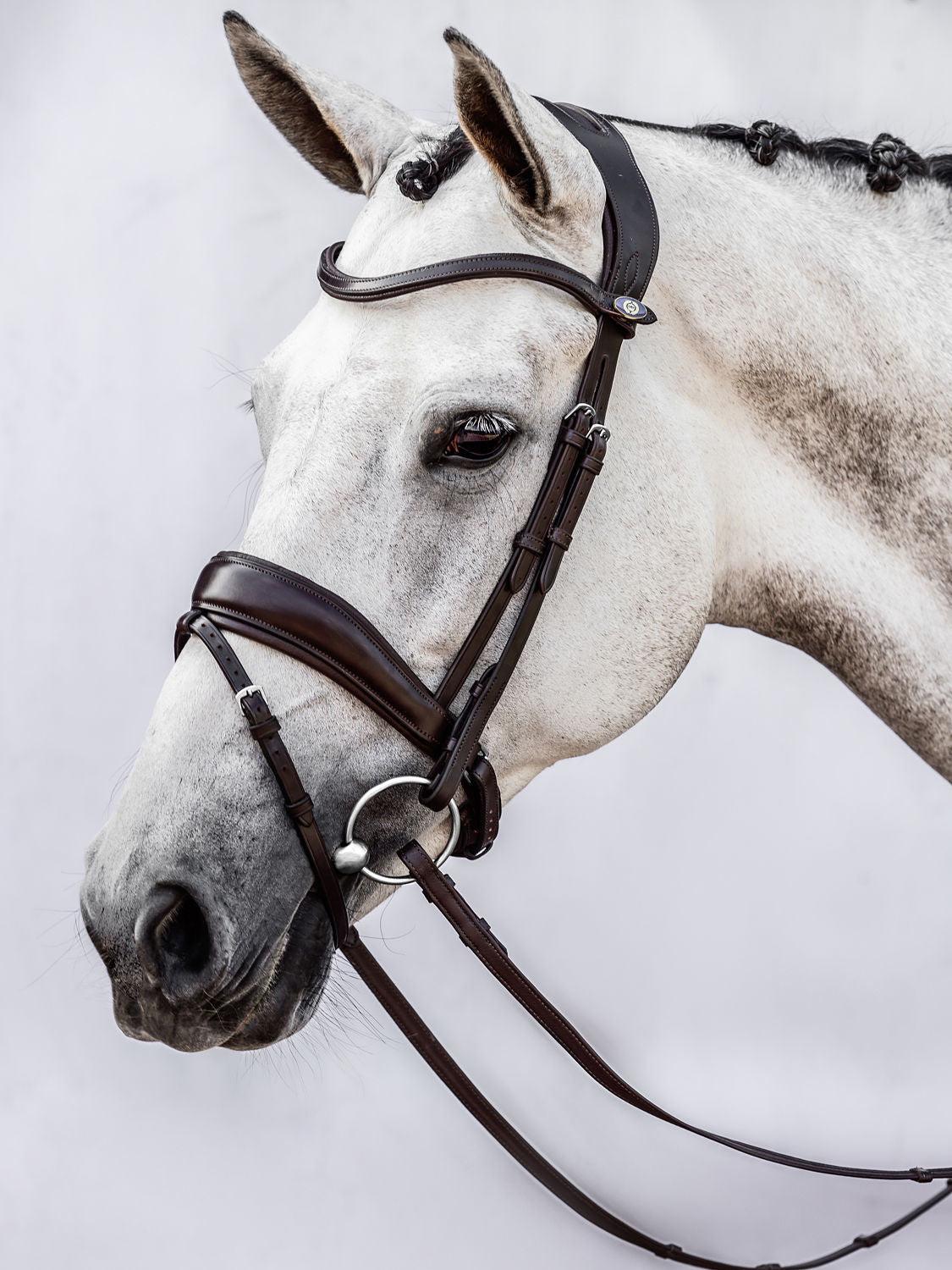PS of Sweden Bridle Flying Change