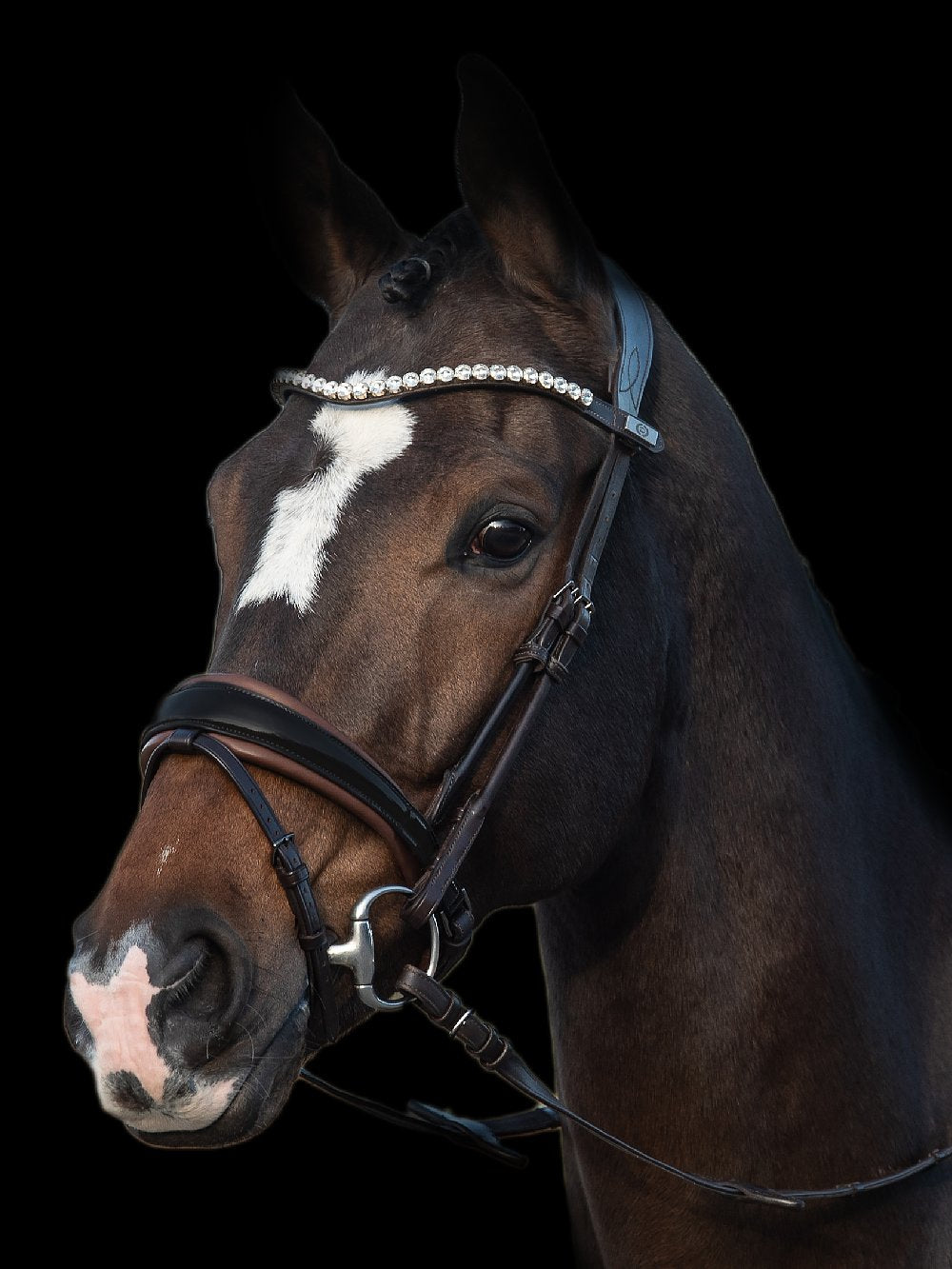 PS of Sweden Bridle GP - Black with Brown Padding