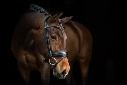 PS of Sweden Bridle GP - Black