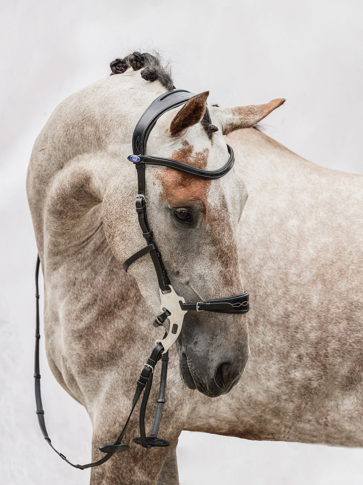 PS of Sweden Bridle Hackamore Sport - 3