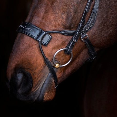 PS of Sweden Bridle High Jump - 3