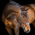PS of Sweden Bridle High Jump - Brown