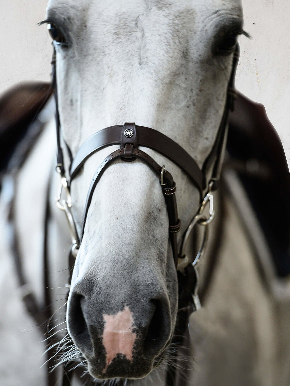 PS of Sweden Bridle London - 2