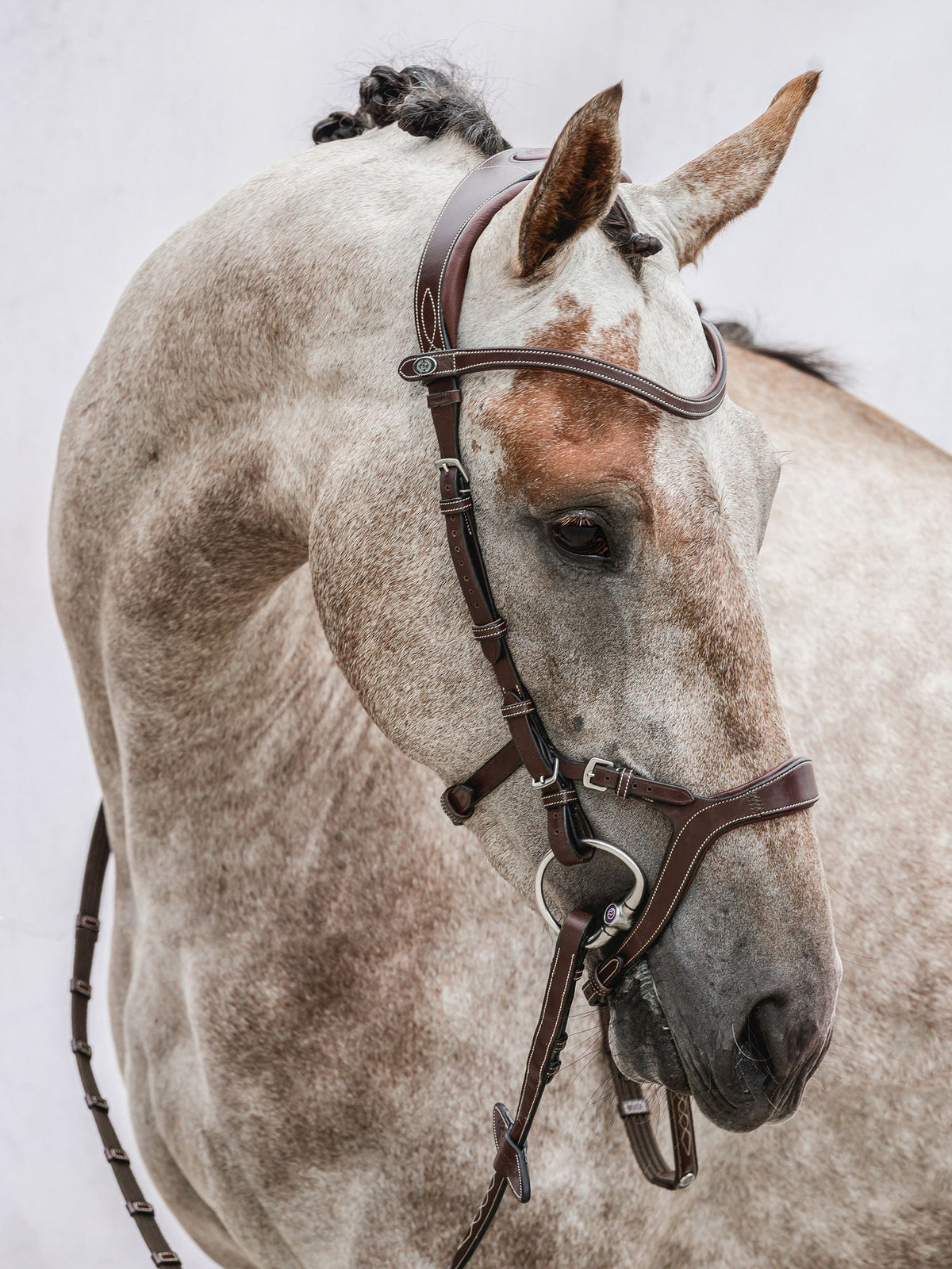 PS of Sweden Bridle Nirak - Brown