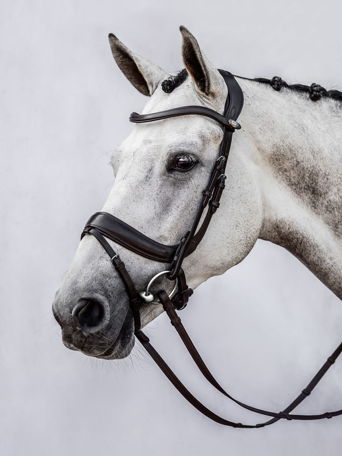 PS of Sweden Bridle Paladin - 2