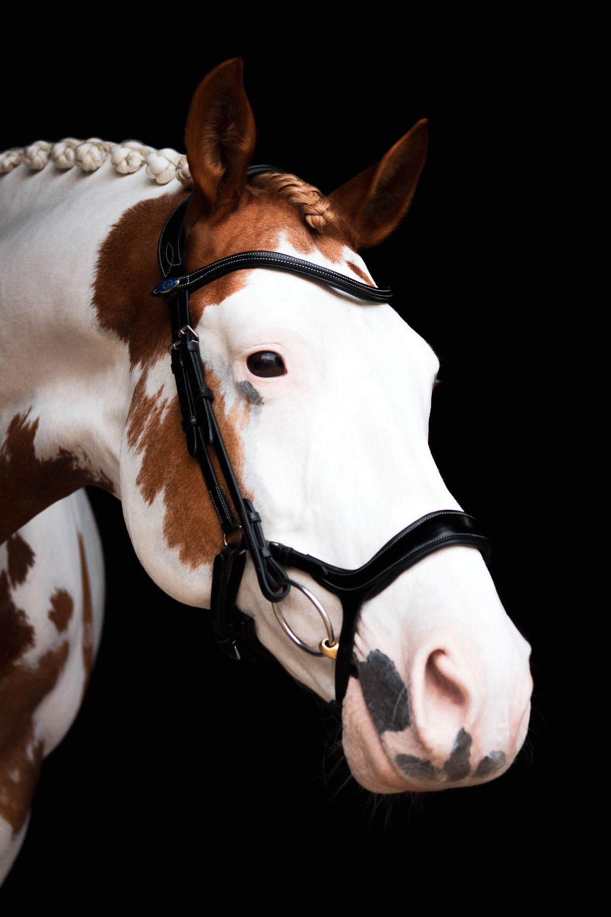 PS of Sweden Bridle Pioneer - 3