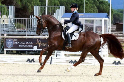 PS of Sweden Double Bridle Passage Non Lacquered - 2