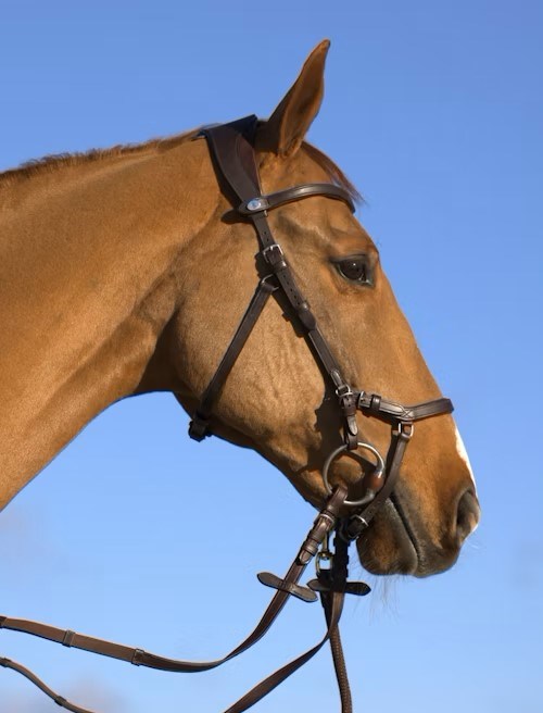 PS of Sweden King Edward Bridle - 2