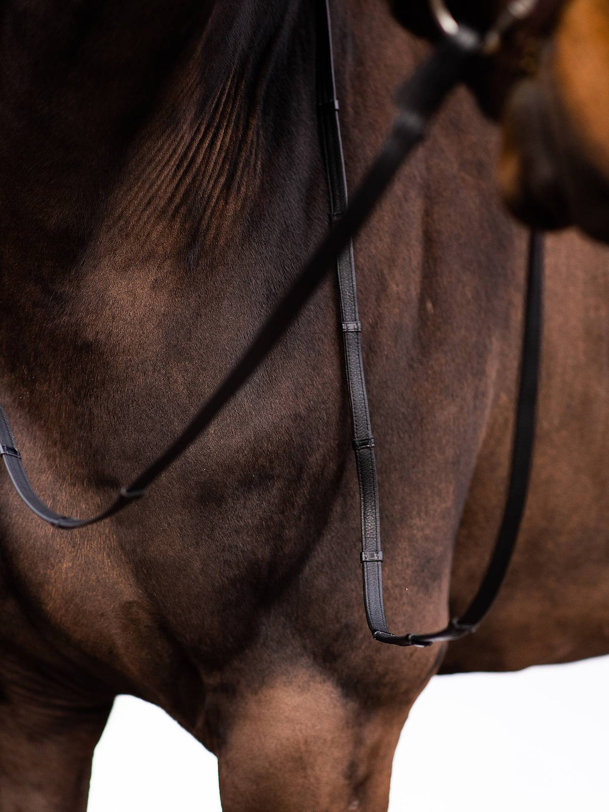 PS of Sweden Reins Softy Super Grip - Black
