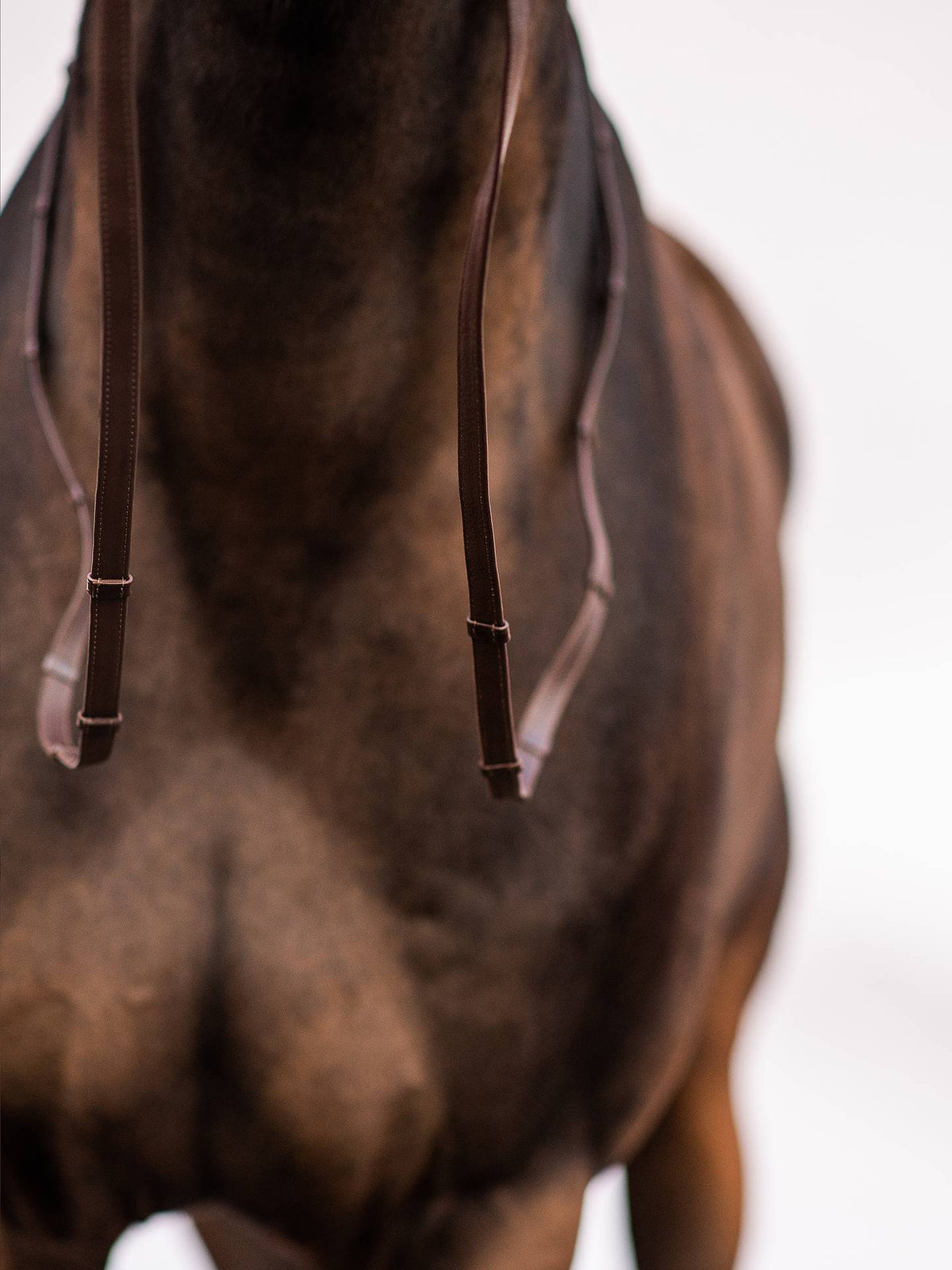 PS of Sweden Reins Softy Super Grip - Brown
