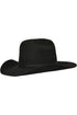 Pure Western Tornado Hat - 4