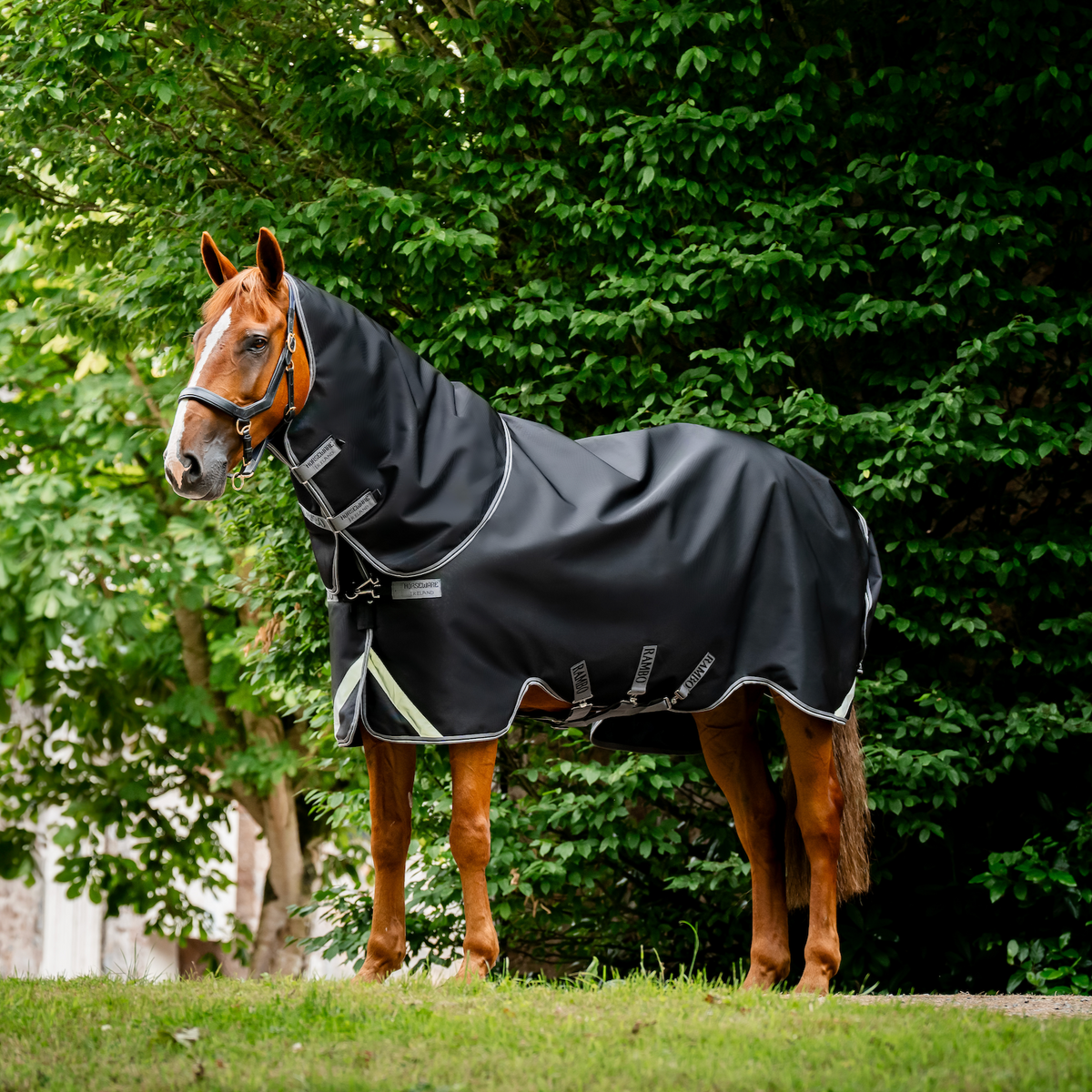 Rambo 1680D Plus Turnout Detach-A-Neck - 3
