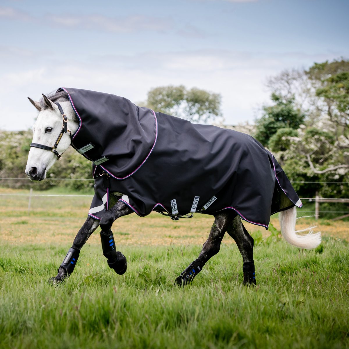 Rambo 1680D Plus Turnout Detach-A-Neck - 4
