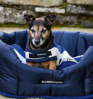 Rambo Deluxe Dog Coat Rug - Medium