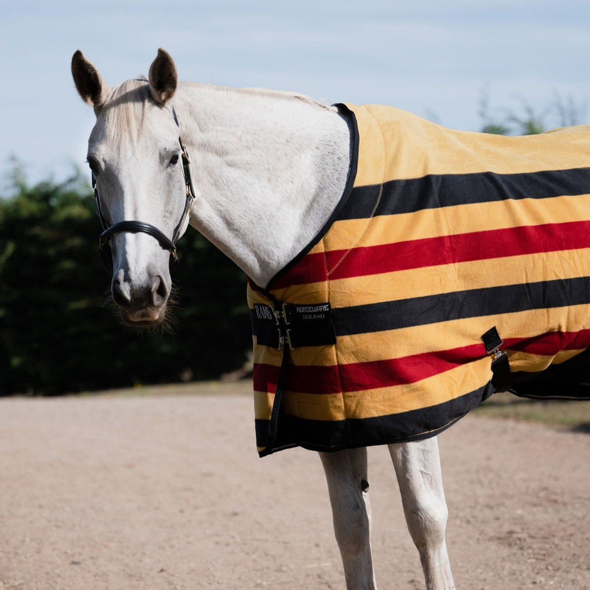 Rambo Deluxe Fleece Rug - 2