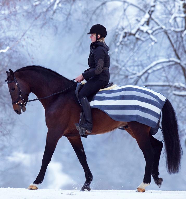 Rambo Fleece Competition Sheet - Navy