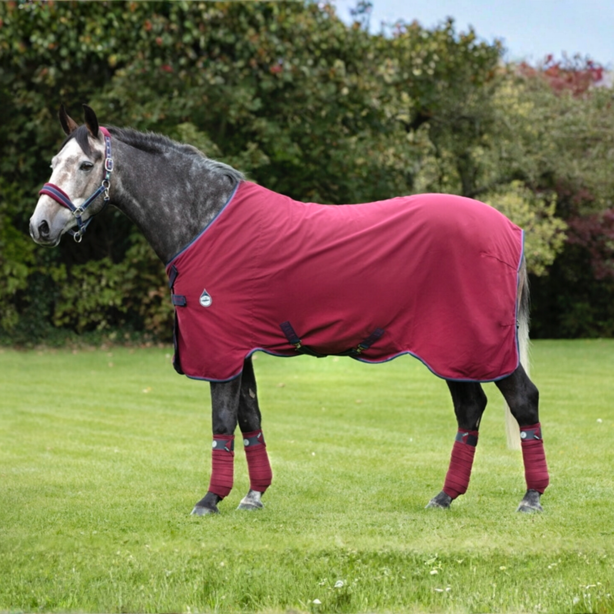 Rambo Helix Stable Sheet DF - 3