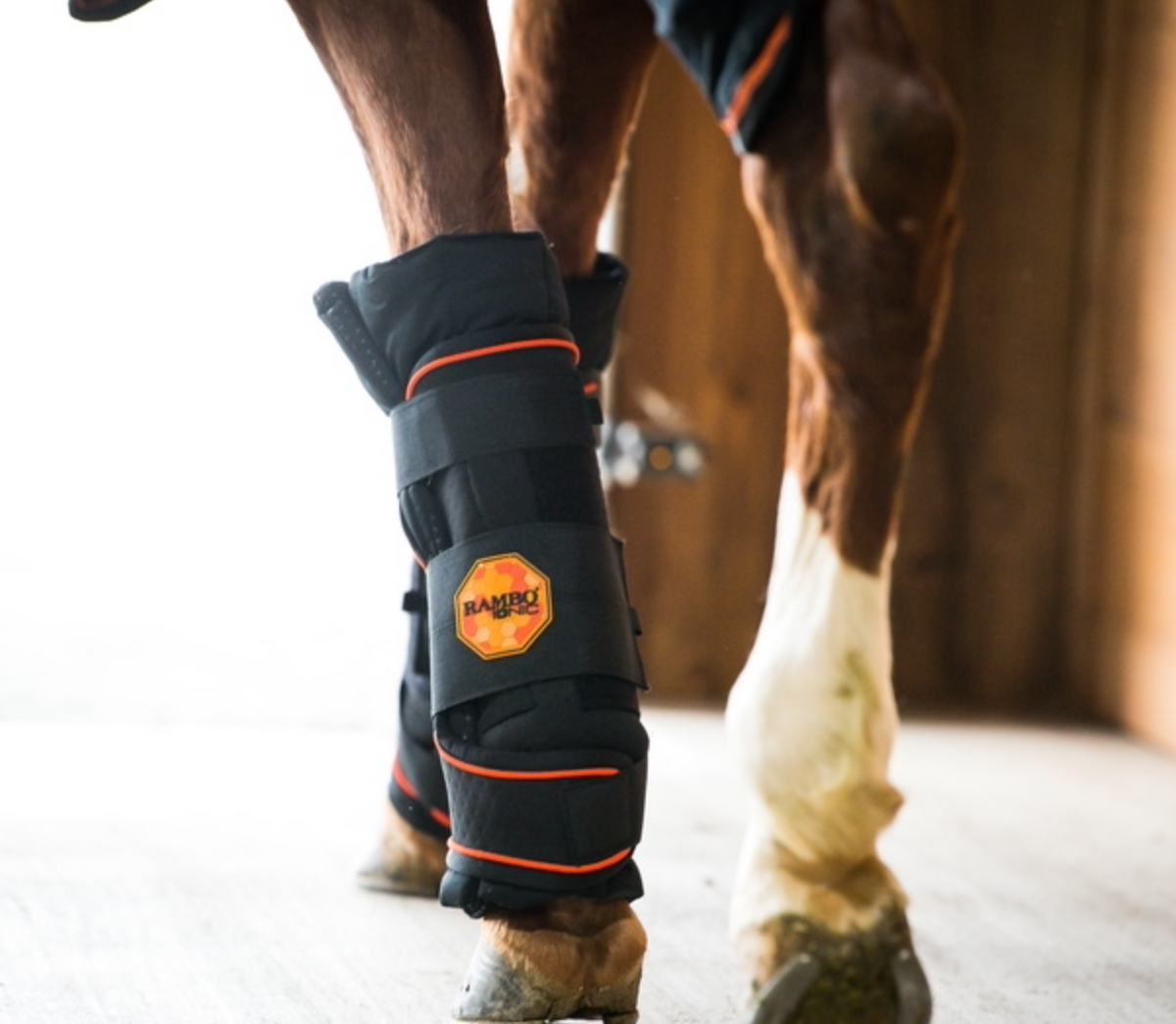 Rambo Ionic Stable Boots - 2