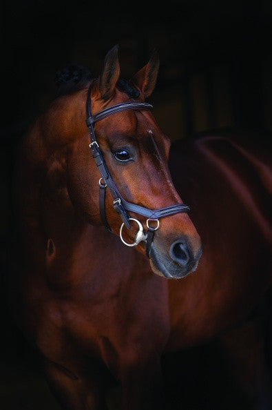Rambo Micklem Deluxe Competition Bridle - Brown