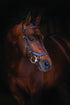 Rambo Micklem Deluxe Competition Bridle - Brown