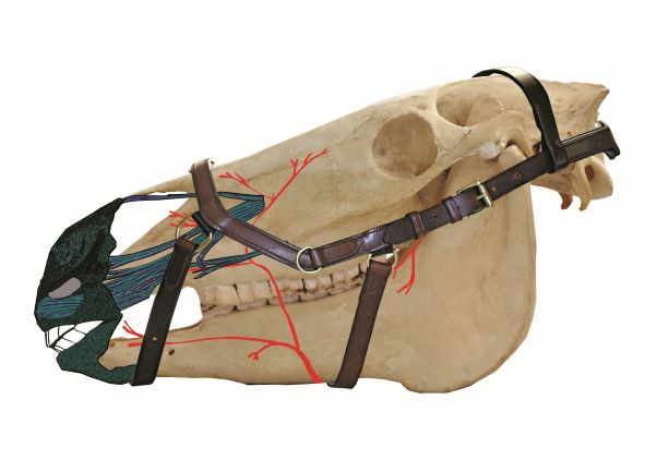 Rambo Micklem Diamante Competition Bridle - 2