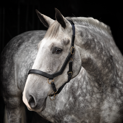 Rambo Micklem Headcollar Halter