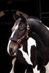 Rambo Padded Headcollar Halter