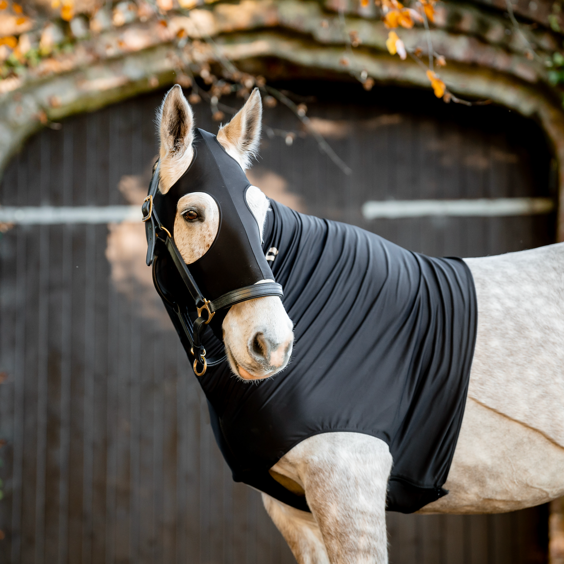 Rambo Slinky Hood - 2