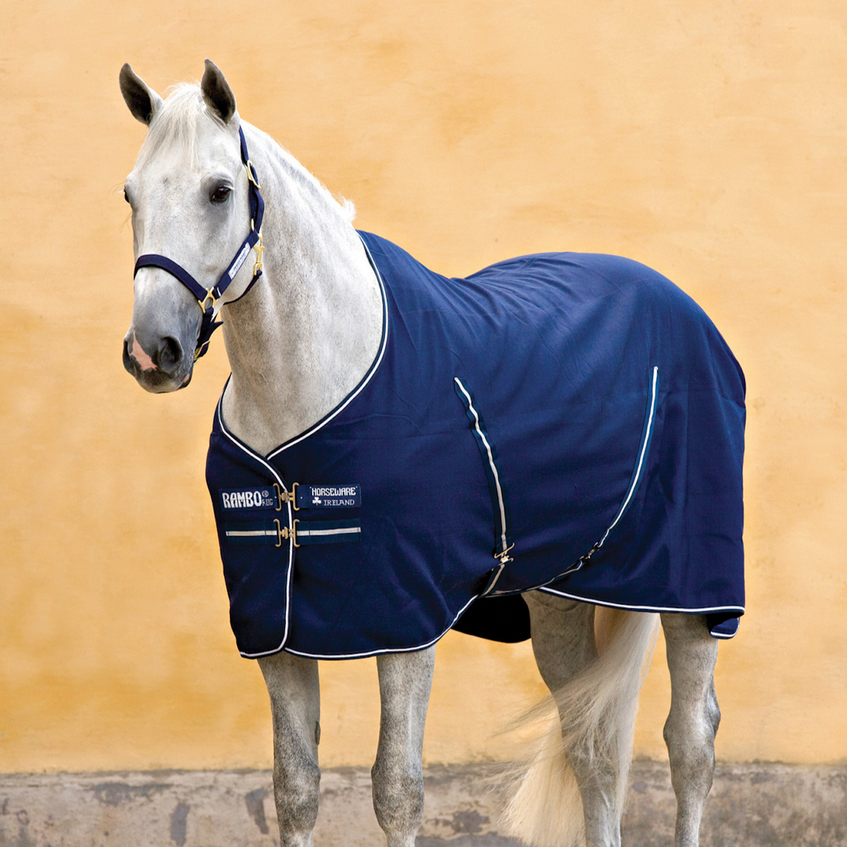 Rambo Stable Sheet - 2