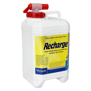 Recharge Horse - 2