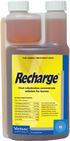 Recharge Horse