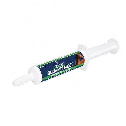 Vytamyx Equine Recovery Boost