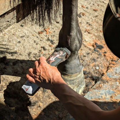 Heiniger Opal Horse Clippers