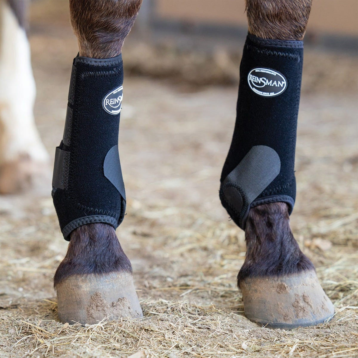 Reinsman Apex Sports Boots - 8