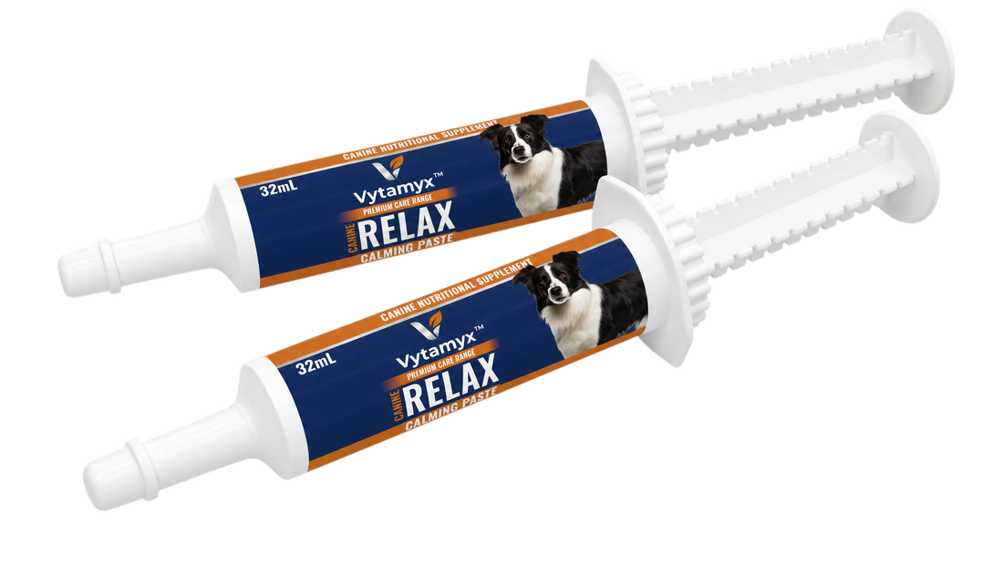 Vytamyx Canine Relax