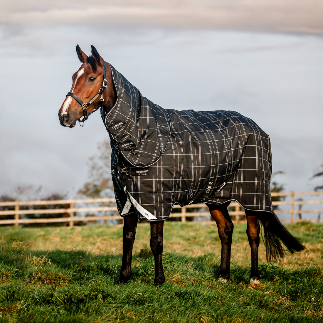 Rhino Plus Turnout Bundle (0g + 200g) Detach-A-Neck