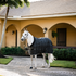 Rhino Stable Rug