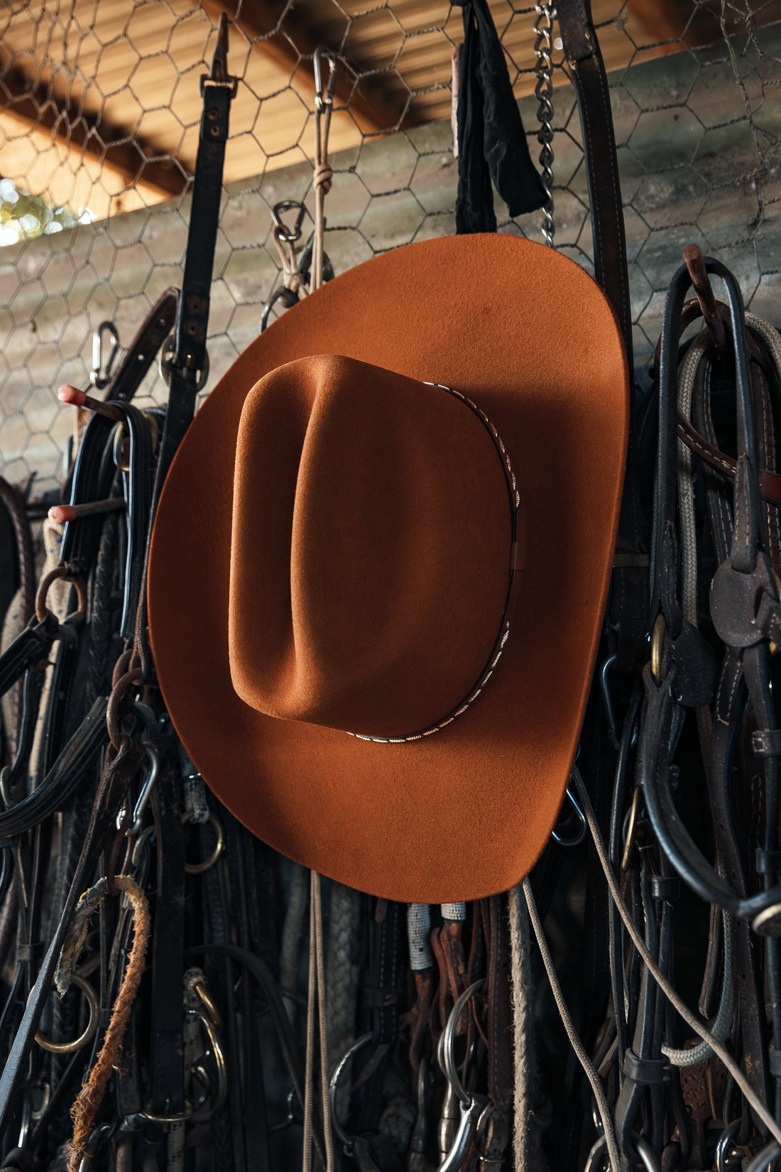 Ringers Western The Boss Man - Rust Lifestyle