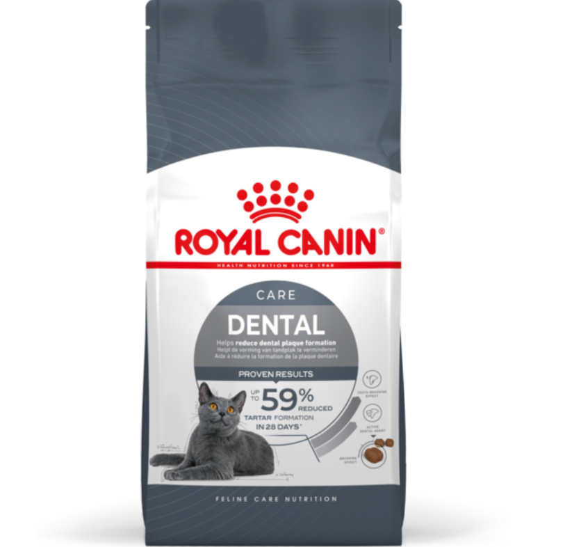 Royal Canin Dental Care Dry Cat Food