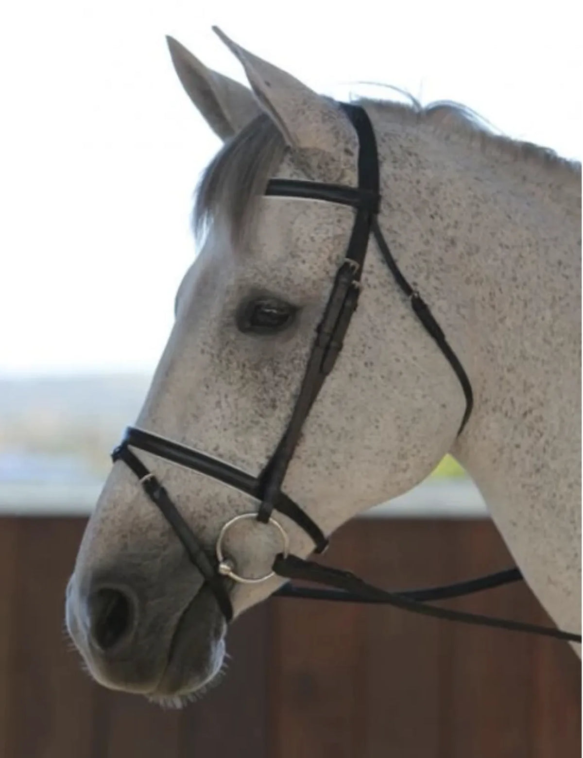 Saddlecraft Hanoverian Flash Bridle III