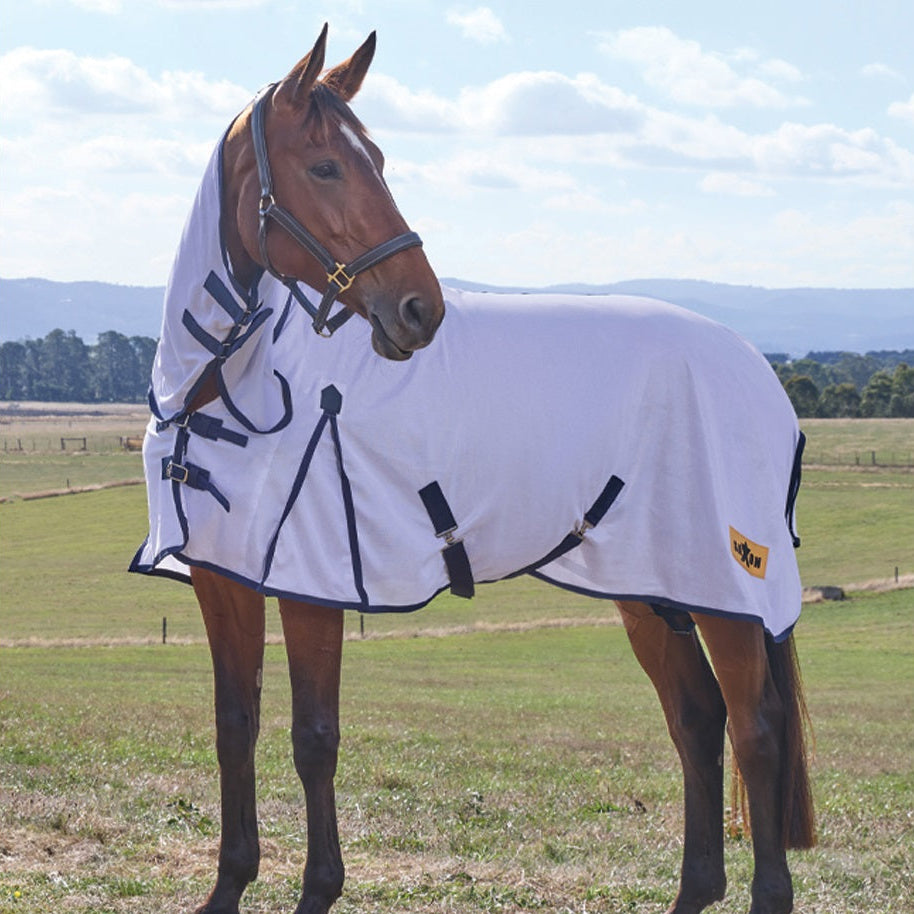 Saxon Air Mesh Fly Sheet Combo - 2