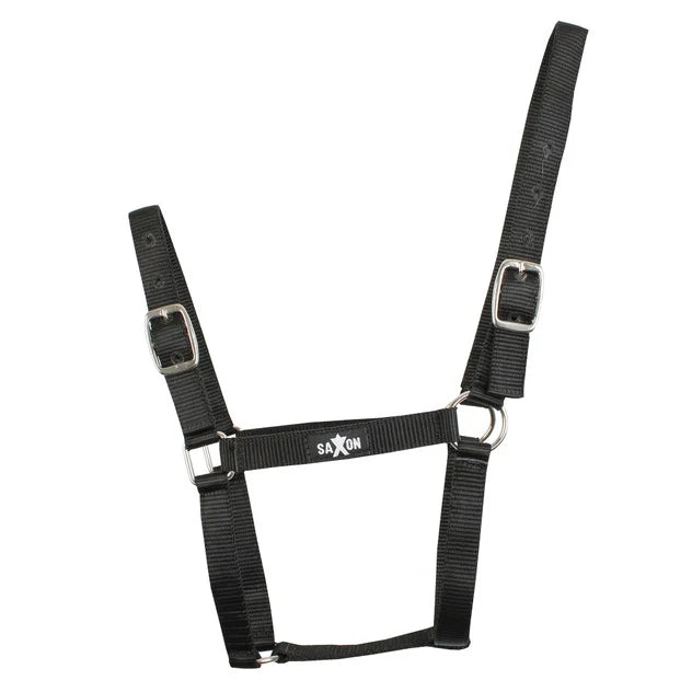 Saxon Economy Headcollar Halter - Black