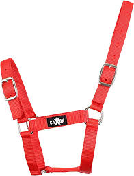 Saxon Economy Headcollar Halter - Red