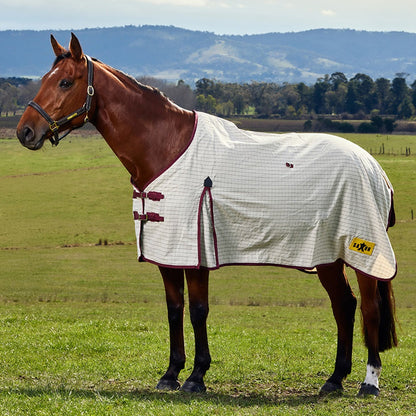 Saxon Kool Coat Cotton Sheet Standard Neck - White Burgundy