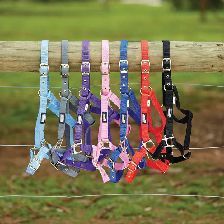 Saxon Nylon Brass Buckle Headcollar Halter - 5