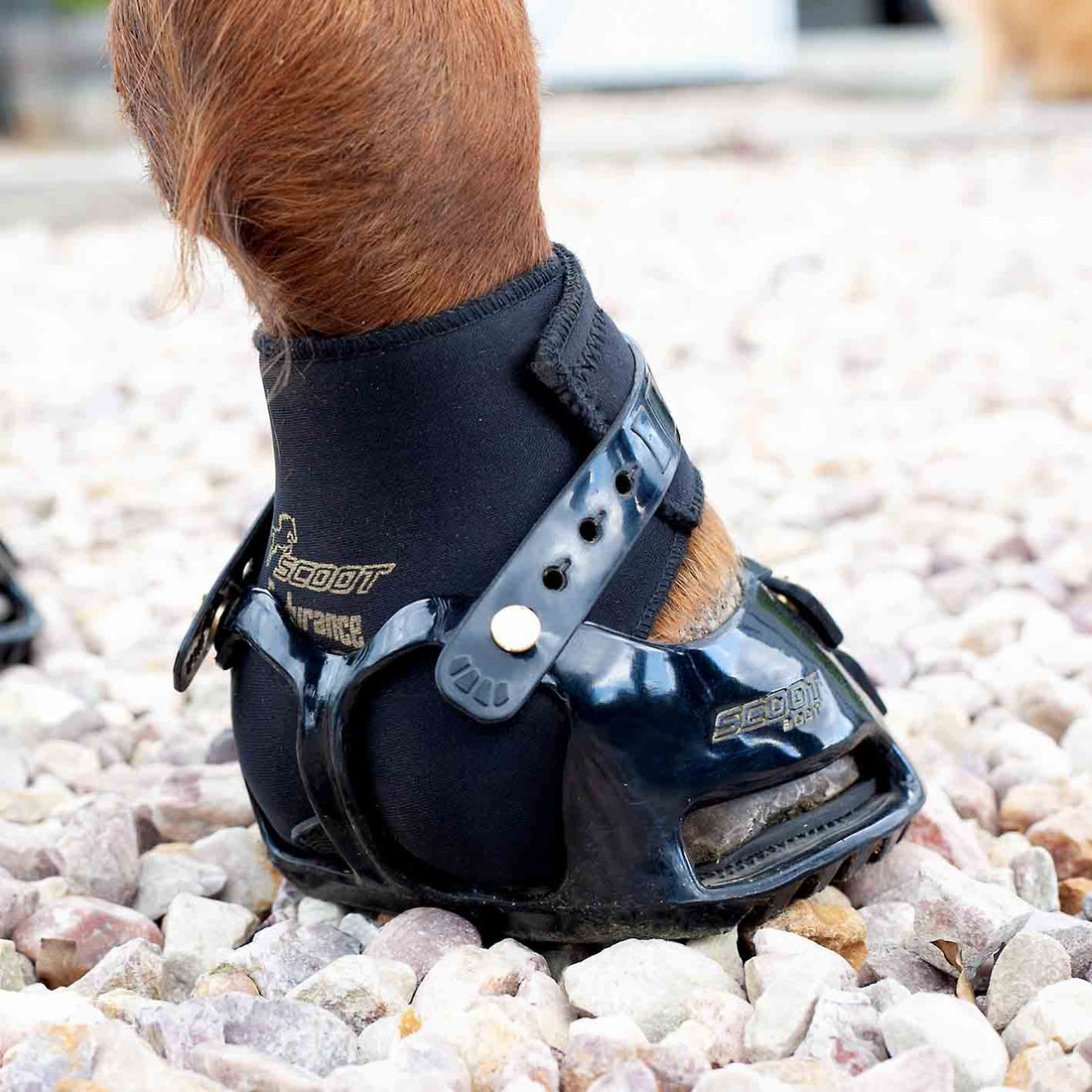 Scootboot Endurance Gaiters - 2