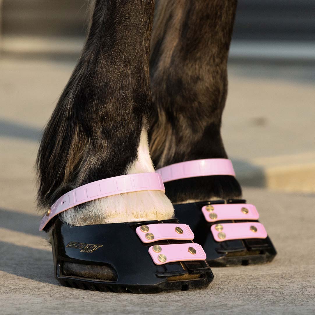 Scootboot Front Straps Standard - Blossom